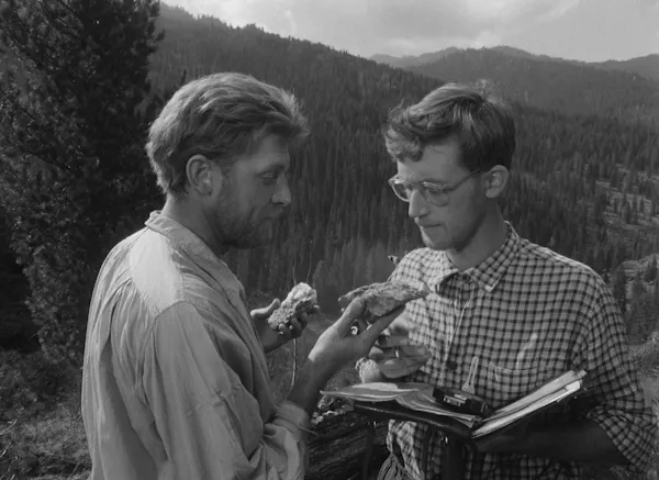 Films | Cineville