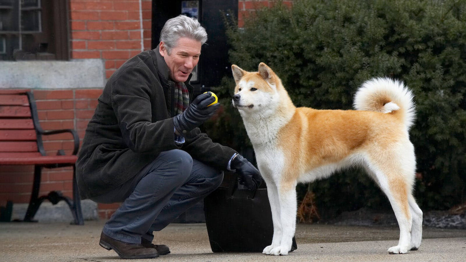 Hachi A Dog's Tale Cineville