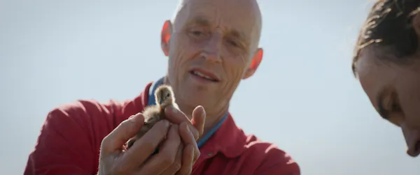 Vogels kun je niet melken | Cineville